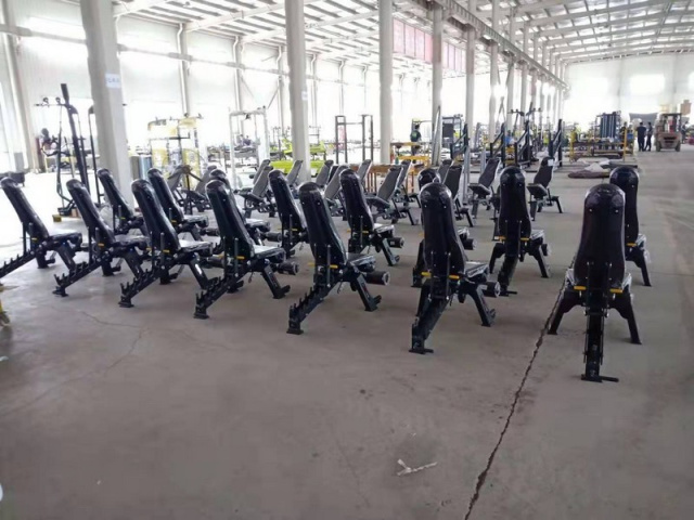 Скамья универсальная Insight Fitness DZ61