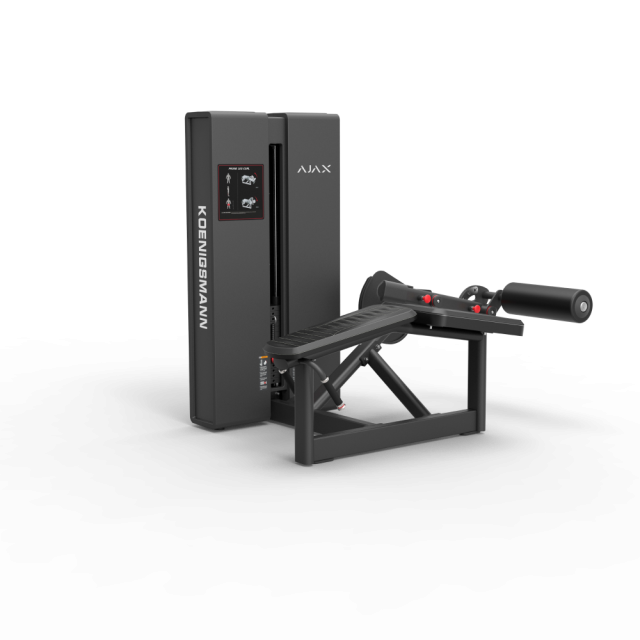 Сгибание ног лёжа STEELFRAME AYAX (Вес стека 104 кг.) Сгибание ног лёжа STEELFRAME AYAX (Вес стека 104 кг.)