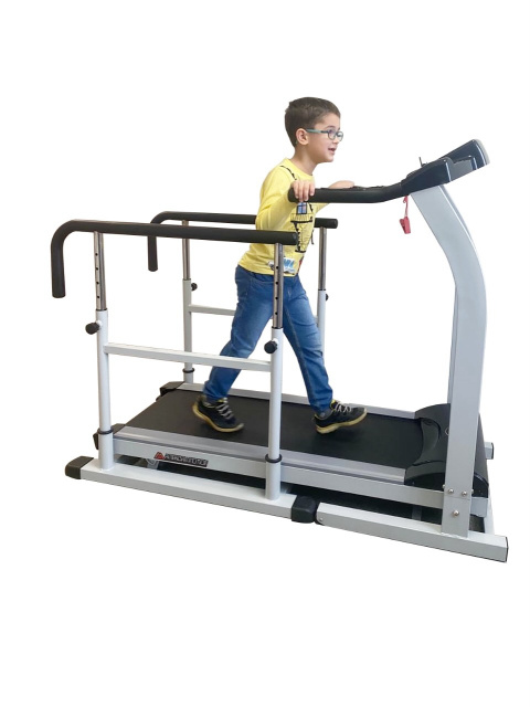 Беговая дорожка TX001 + поручни American Motion Fitness Беговая дорожка TX001 + поручни American Motion Fitness