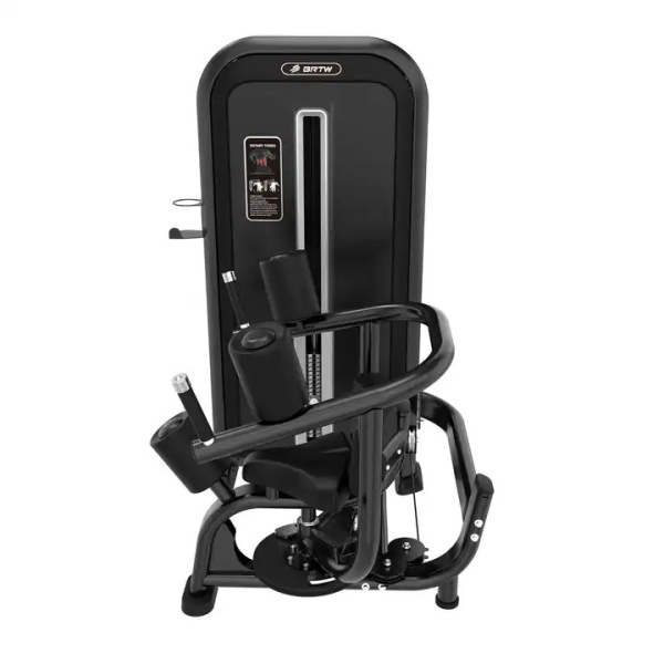 Торс-машина Insight Fitness TY12