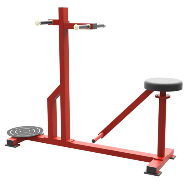 Торс-машина Insight Fitness TM95