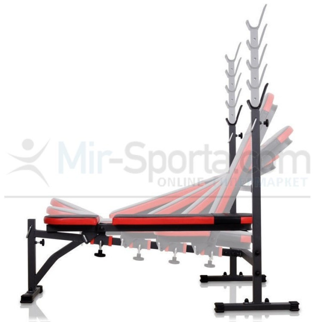 Регулируемая стойка для жимов и приседаний CarFitness TS- WB09278