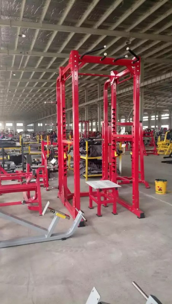 Силовая рама Insight Fitness TM90