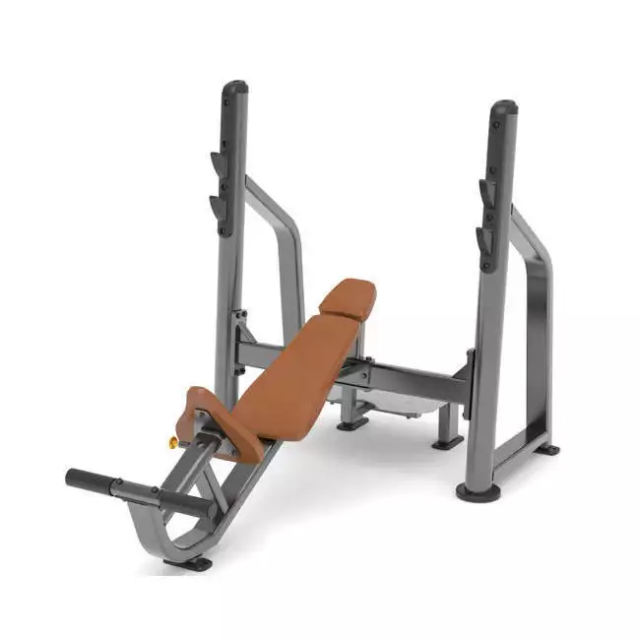 Скамья для жима лежа AnyFit PEB102 Скамья для жима лежа AnyFit PEB102