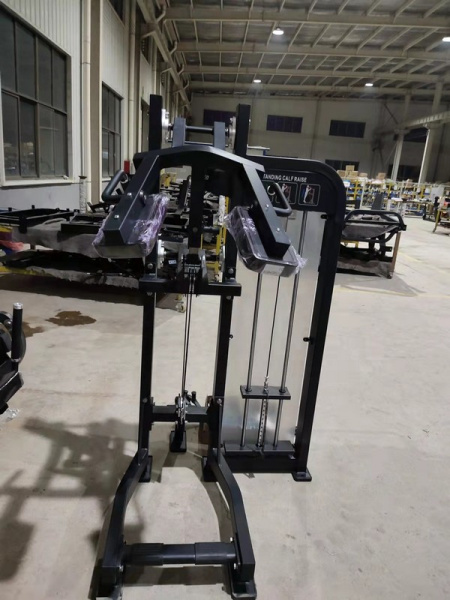 Голень стоя Insight Fitness HS18