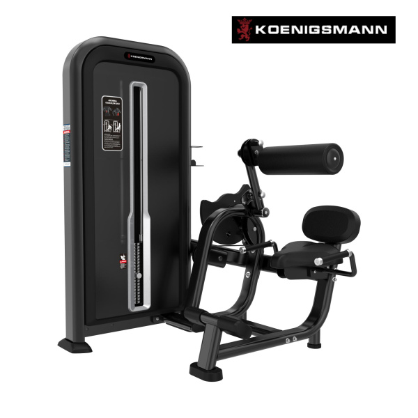 Сгибание / разгибание спины STEELFRAME 31