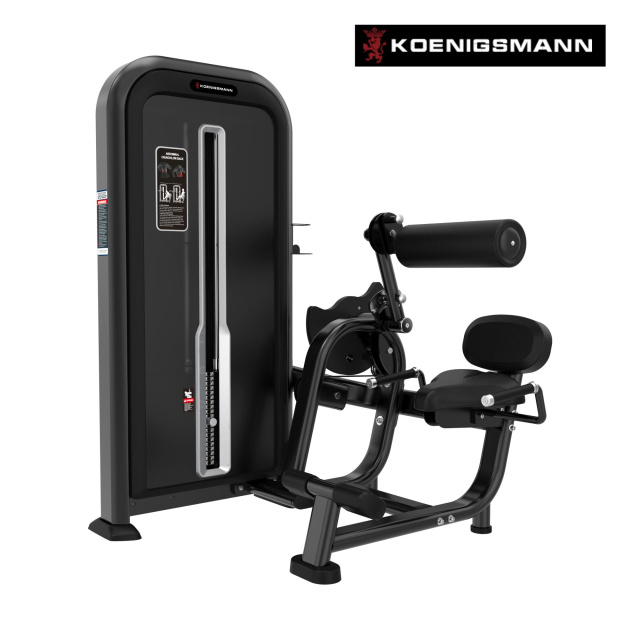 Сгибание / разгибание спины STEELFRAME 31