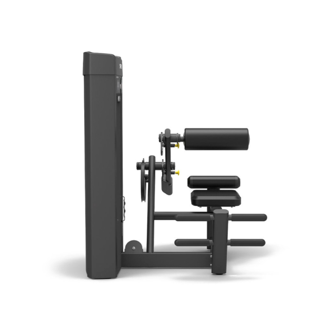 Разгибание спины SPIRIT SP-4310 Разгибание спины SPIRIT SP-4310