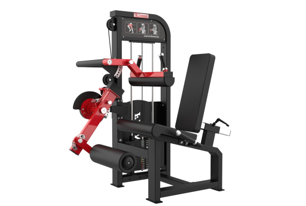 Сгибание / разгибание ног сидя STEELFRAME 55