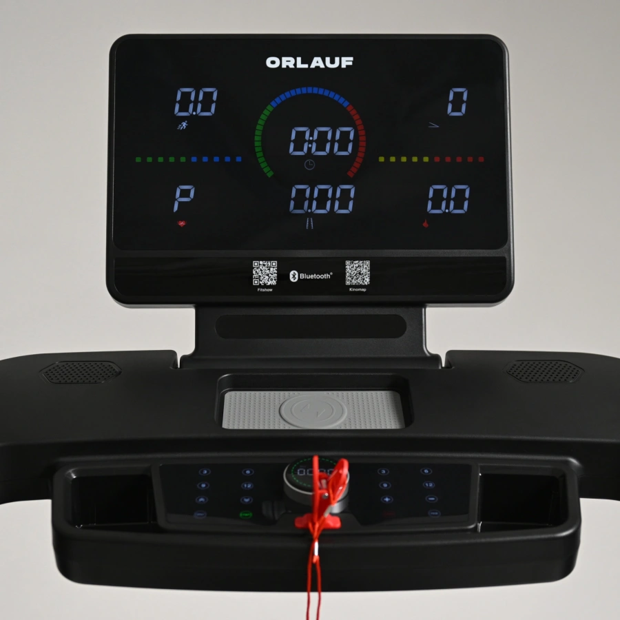 Беговая дорожка Orlauf Leguan