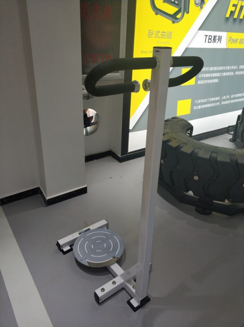 Торс-машина стоя Insight Fitness TM94