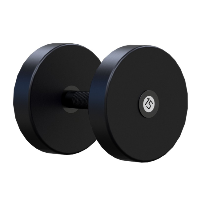 Гантель профессиональная ARMS 15 кг