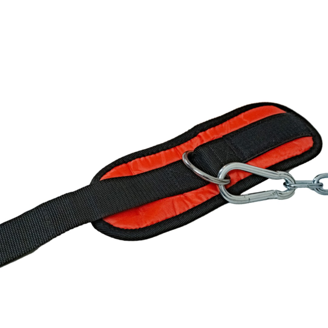 Силовая станция PROTRAIN HG10250