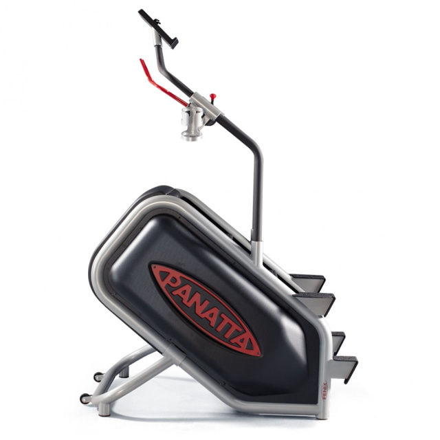 Лестница-степпер (клаймбер) Panatta ECOCLIMBER 1CF70 Лестница-степпер (клаймбер) Panatta ECOCLIMBER 1CF70
