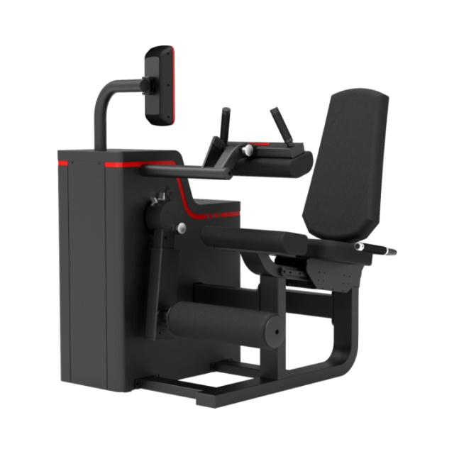 Cгибание ног ELIGA T163 Cгибание ног ELIGA T163