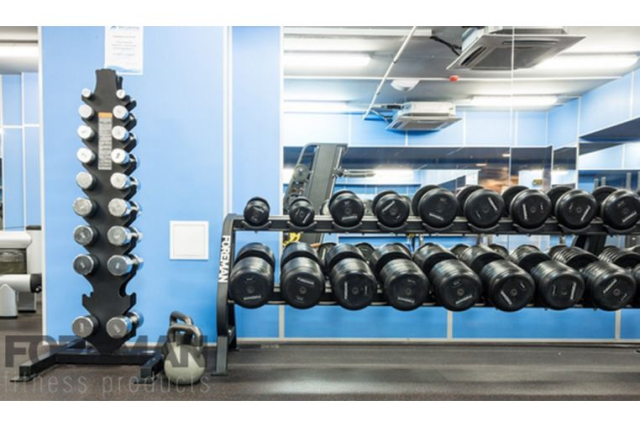 Гантели фиксированные обрезиненные в сборе FOREMAN, 47.5 кг